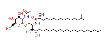 Halicylindroside B2